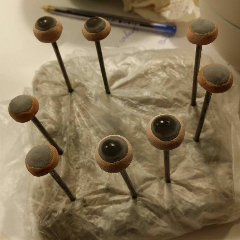 Brunos Augen mit Unidekor Schwarz (Pupille) und 9104 Cognac